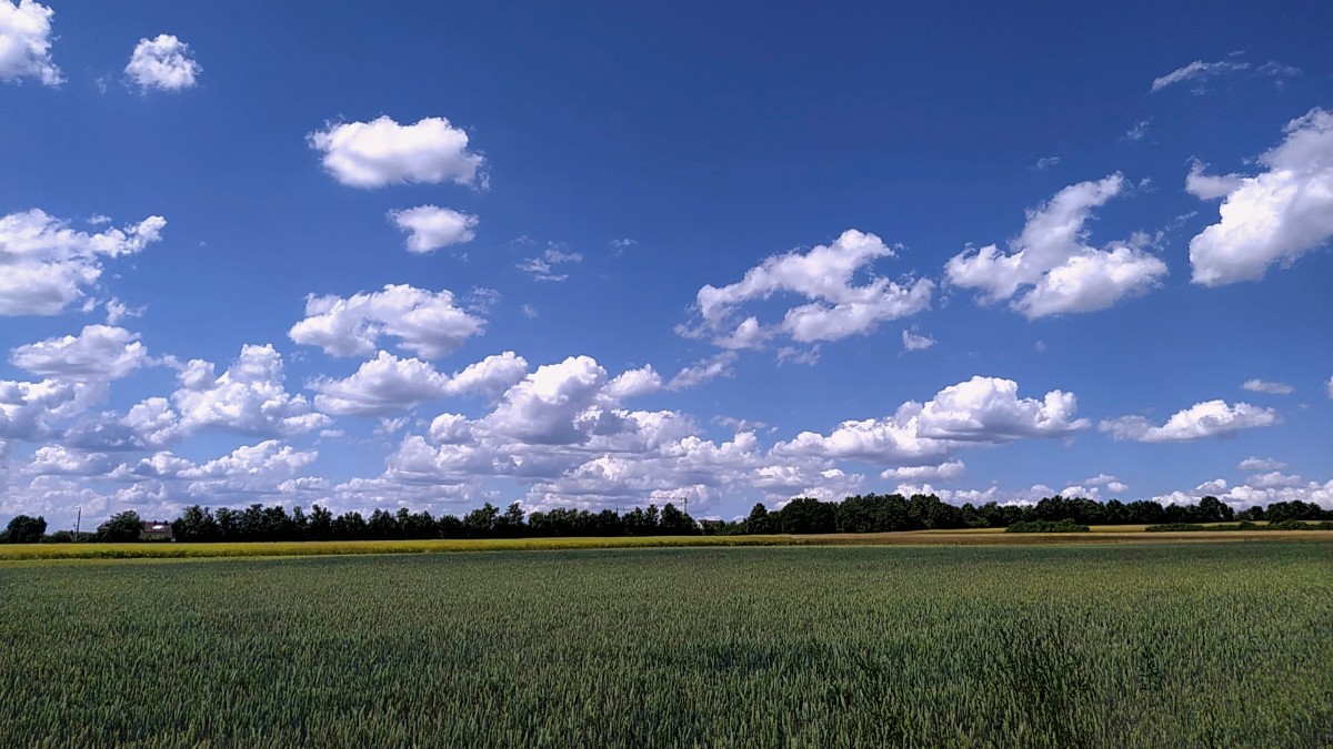 Blau-Weiß in Franken (2).jpg