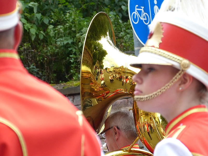 comp_P1110906.jpg