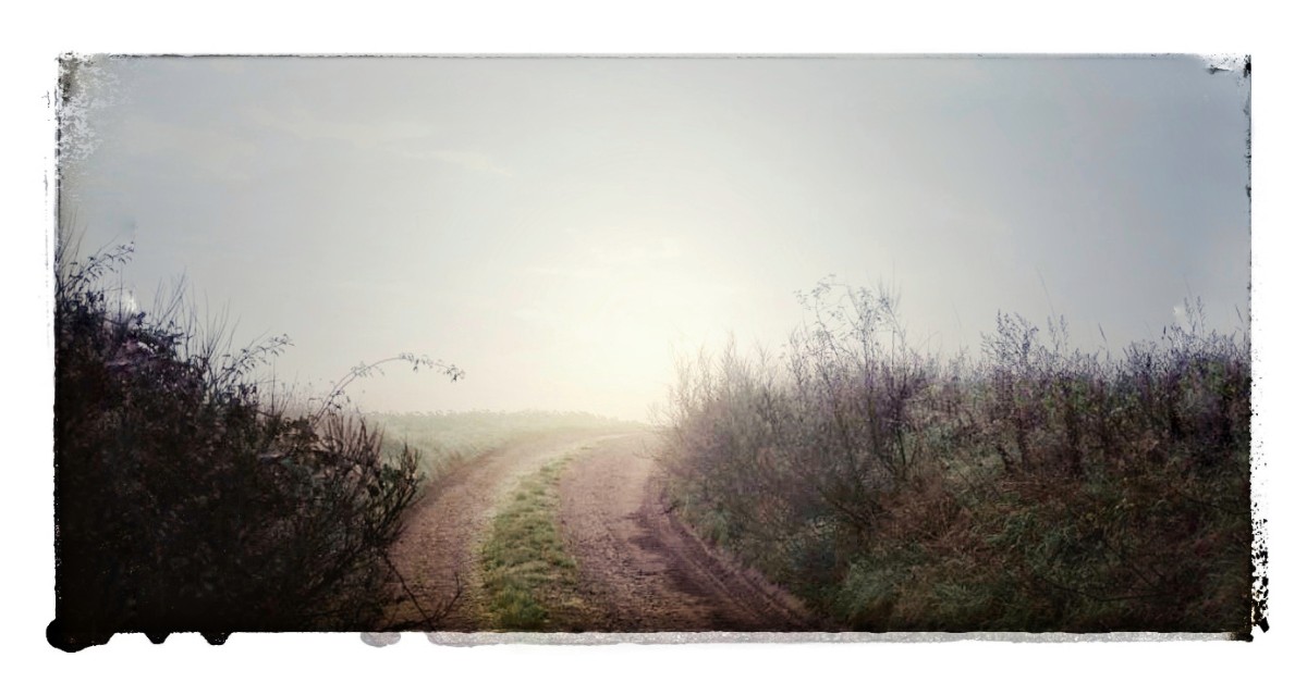 Noch ein Versuch.jpg