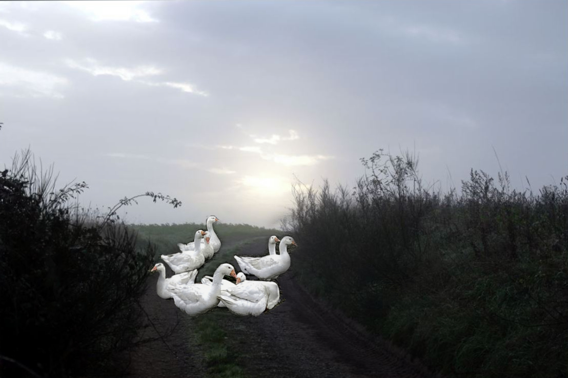 Noch vor Martini entwischt.jpg