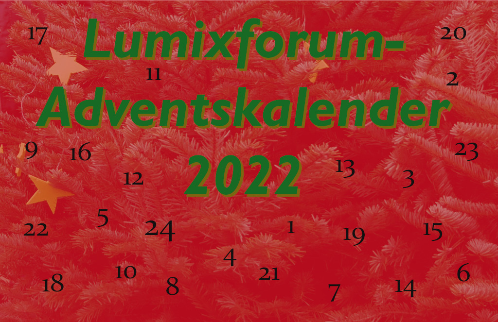 2022.jpg