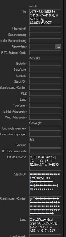 Metadaten IPTC.jpg