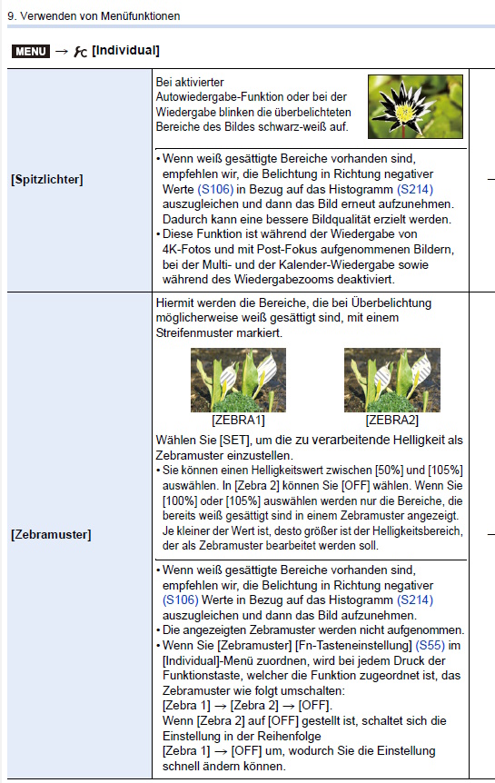spritzlichter.jpg