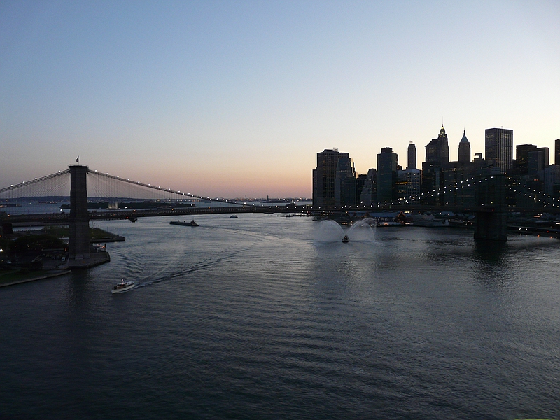 P1010011_cc.jpg