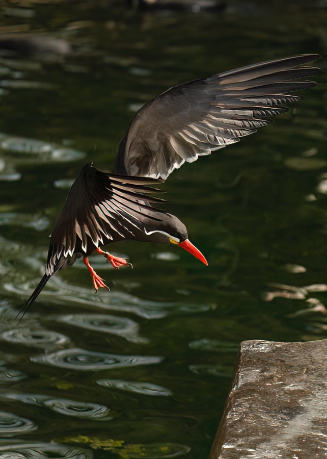 _1003713 Kopie 1024.jpg