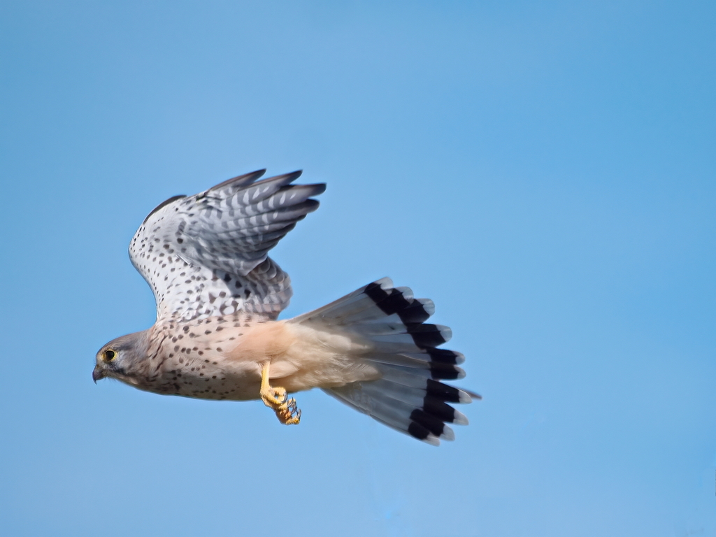 Abflug ohne Zweige.jpg