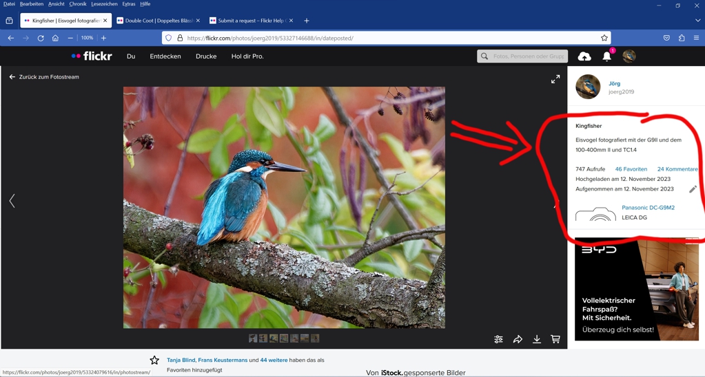 flickr_november_update_forum.jpg