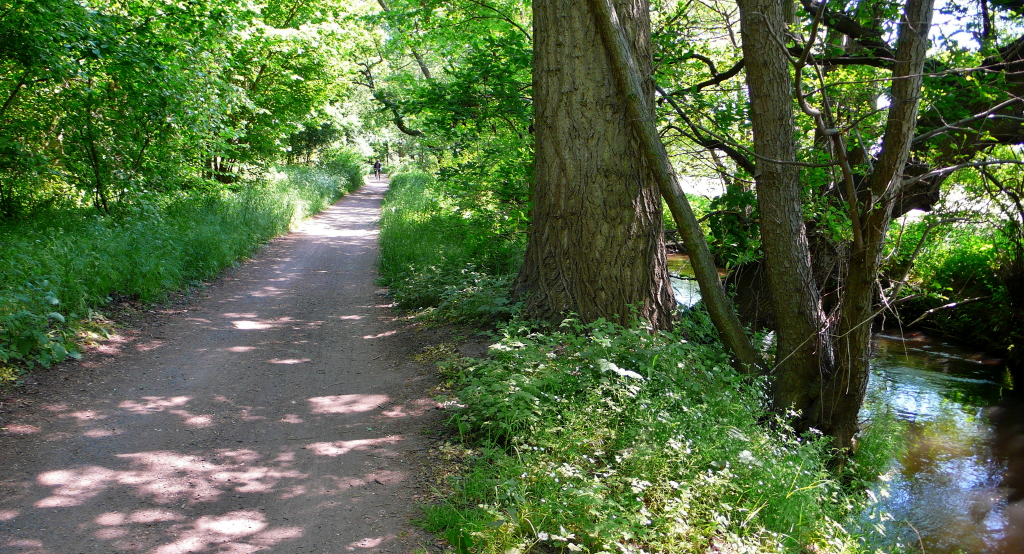 P1020226_1.JPG
