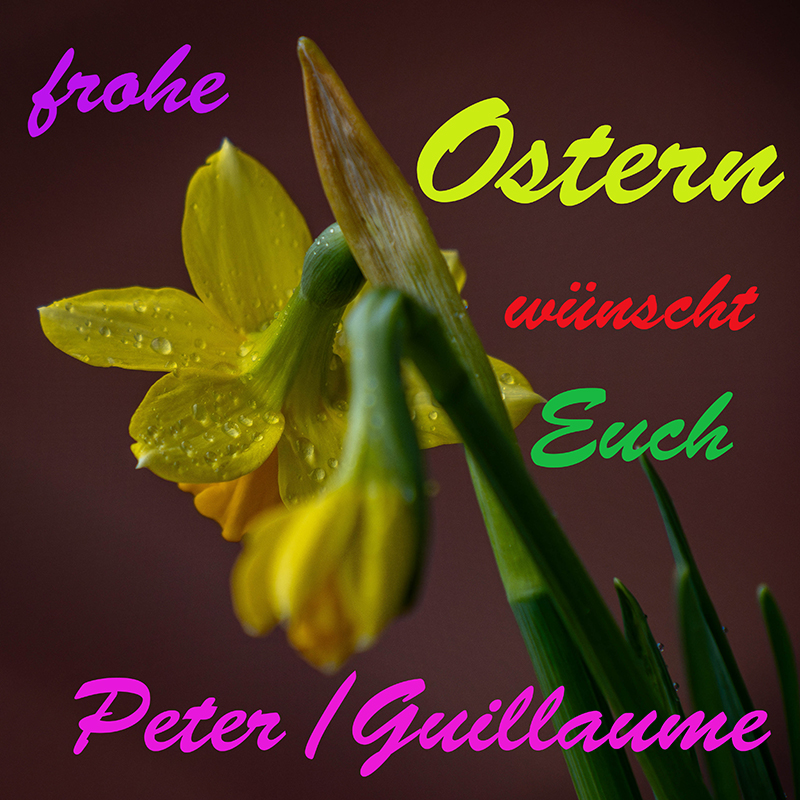 frohe Ostern Fo.jpg