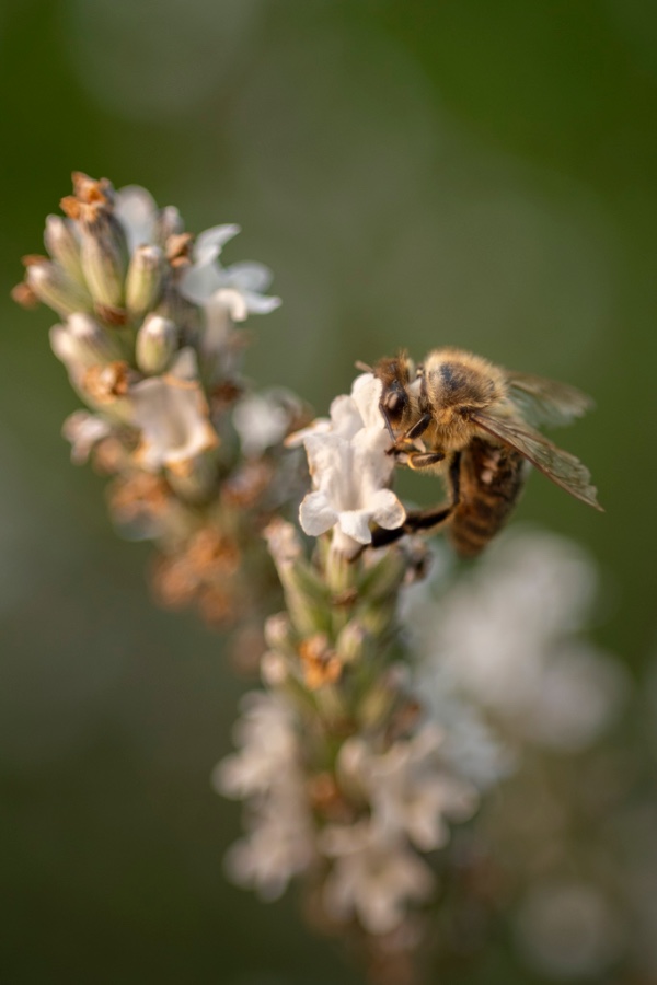 Dokumentname 1024_1.jpg