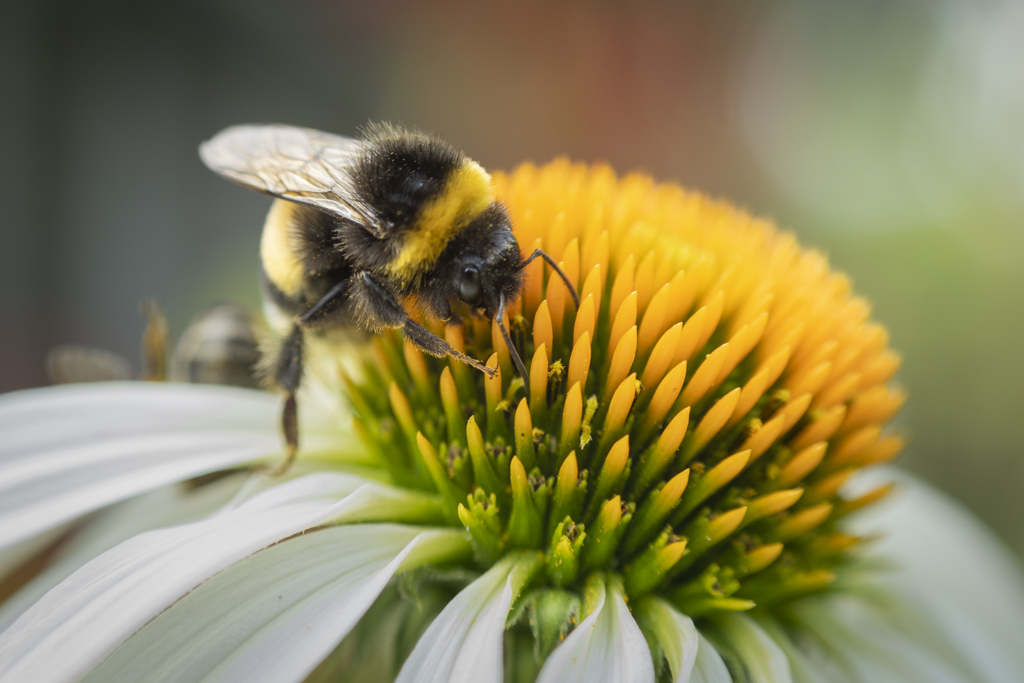 Dokumentname 1024.jpg