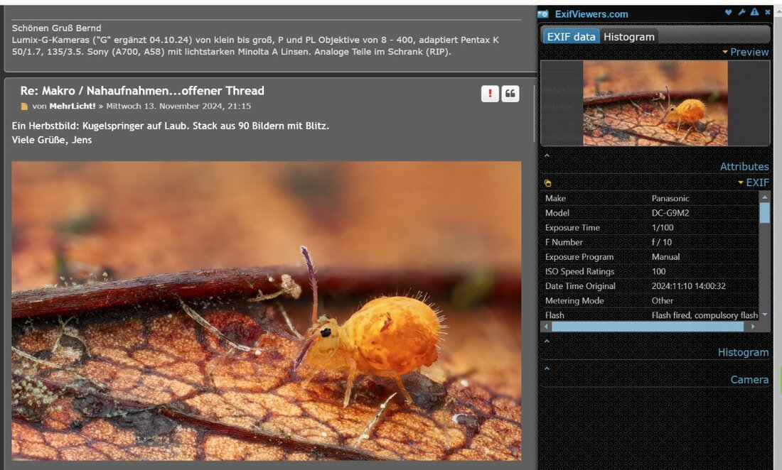 exif viewer.jpg