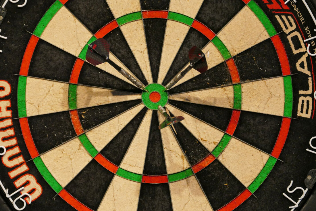 P2140470 Dart Scheibe vergr.jpg