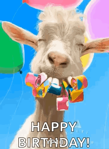 HappyBirthdayGIF.gif