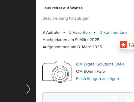Text rechts.jpg