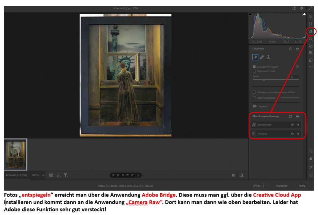 Fotos entspiegeln.png