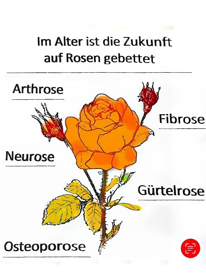 rosige Zukunft.jpg