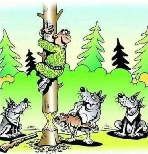 Rückkehr von Wolf und Biber.jpg