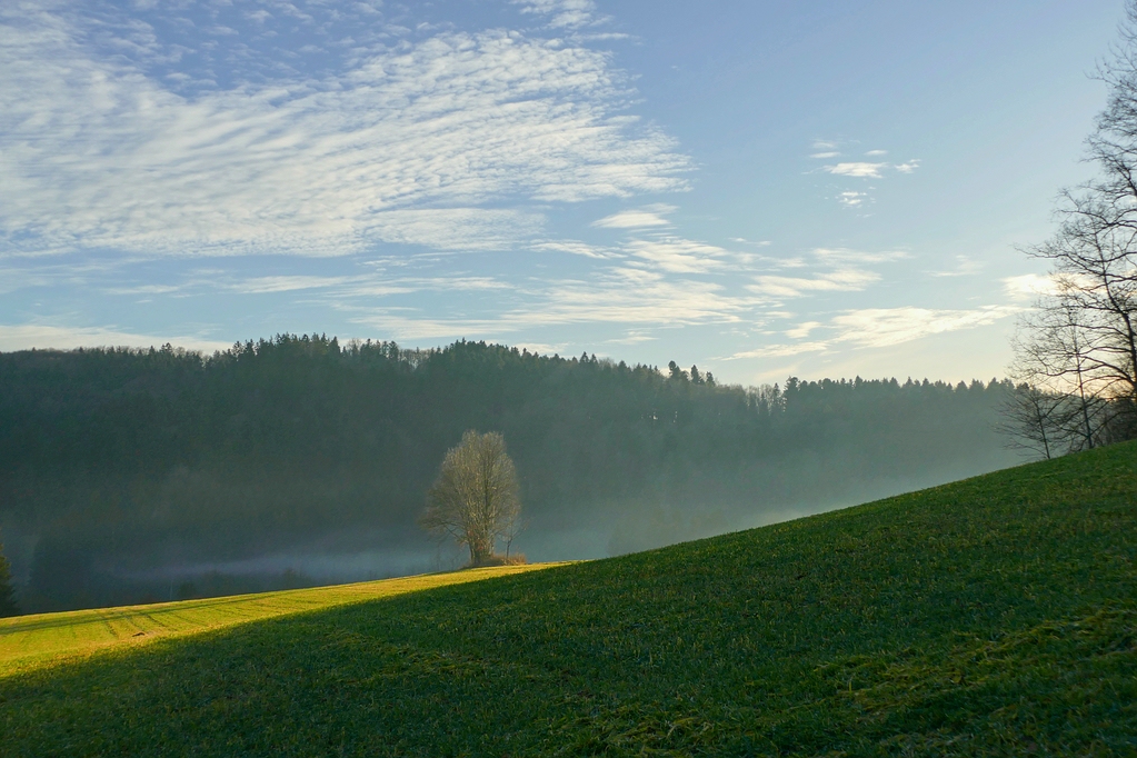 comp_VIA Nebel steigt auf oberbayer.jpg