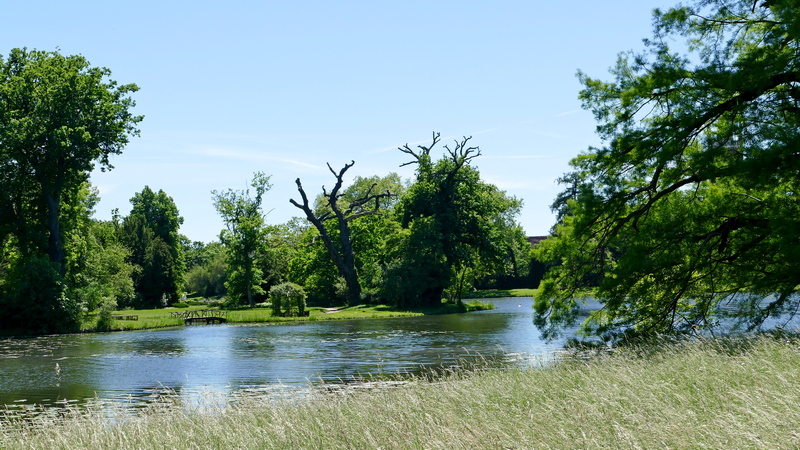 P1900255 Wörlitzer Park.jpg