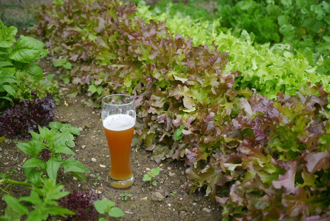 Biergarten.JPG
