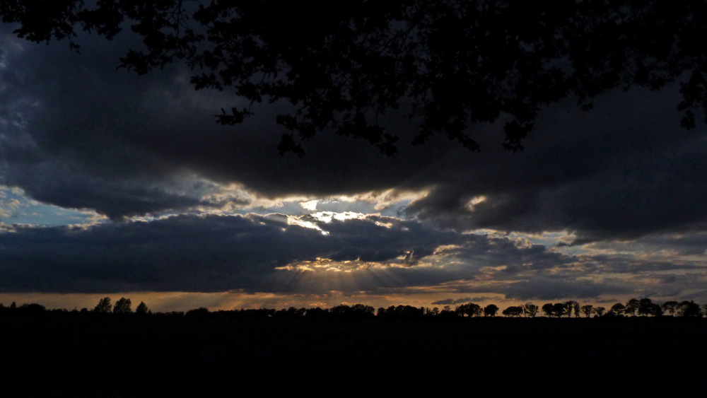 Sonne unter an der Elbe (2).JPG