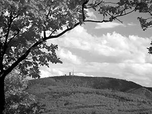 P1000772_klein_rot.jpg