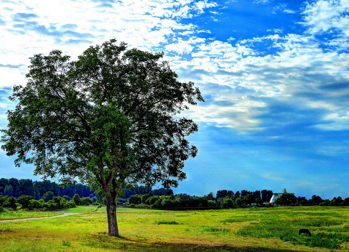 P1010637_8_9_fused_ShiftN.jpg