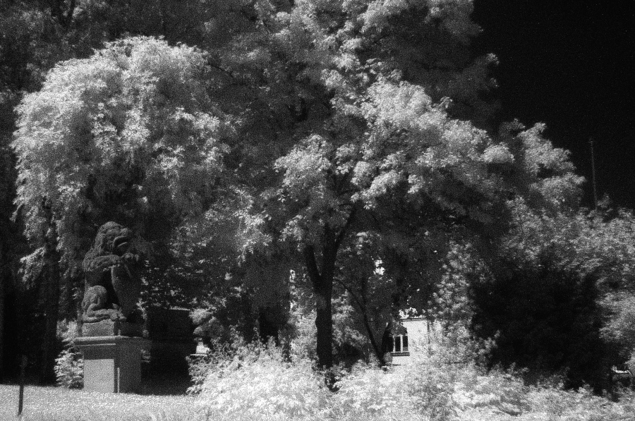 park.jpg