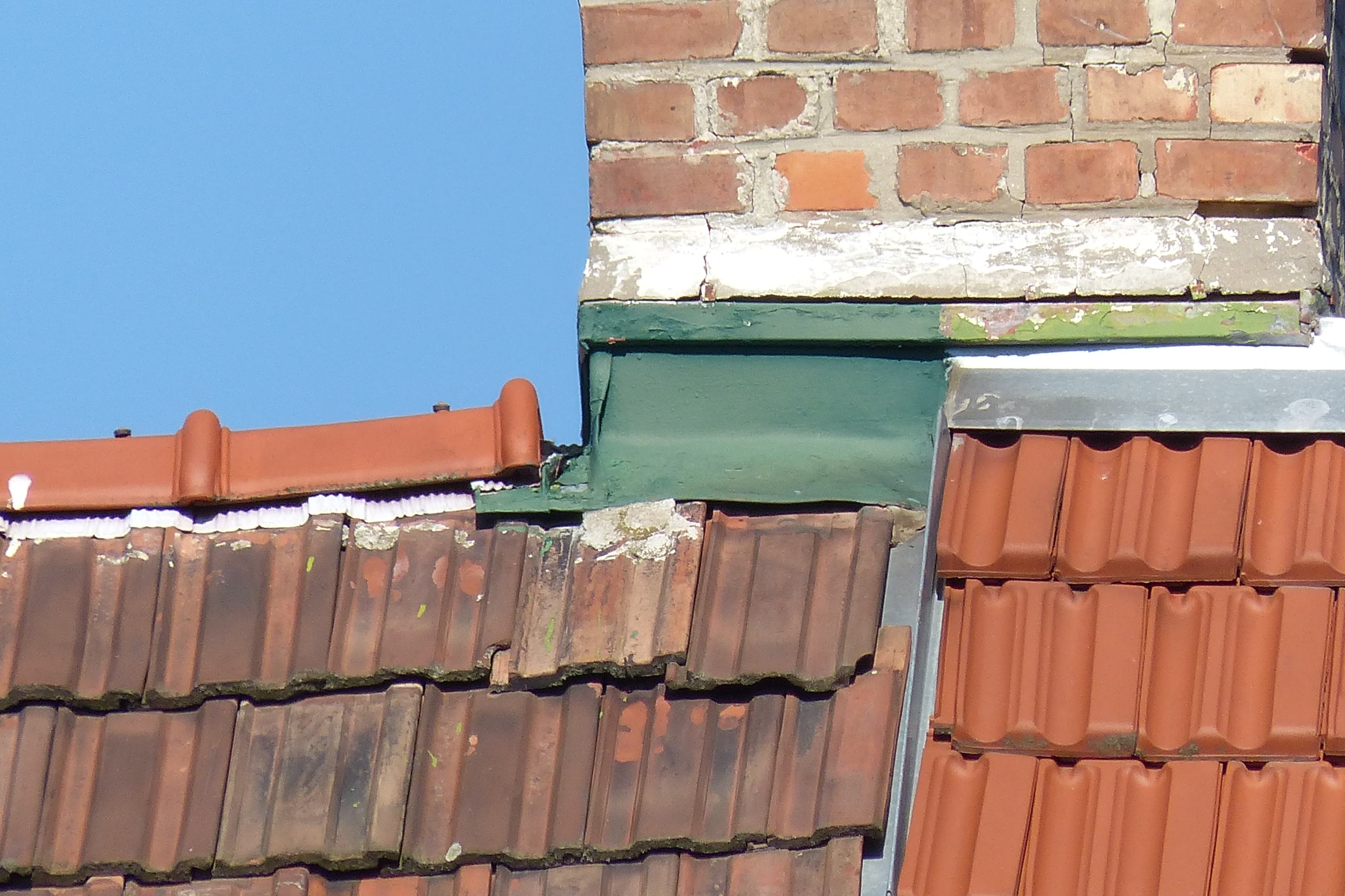 P1020481 0 0 0 0.jpg