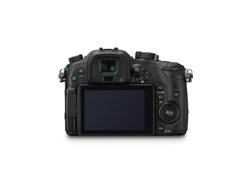 comp_Panasonic_DMC-GH3_back.jpg