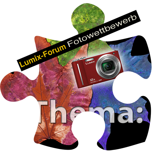 puzzle2.png
