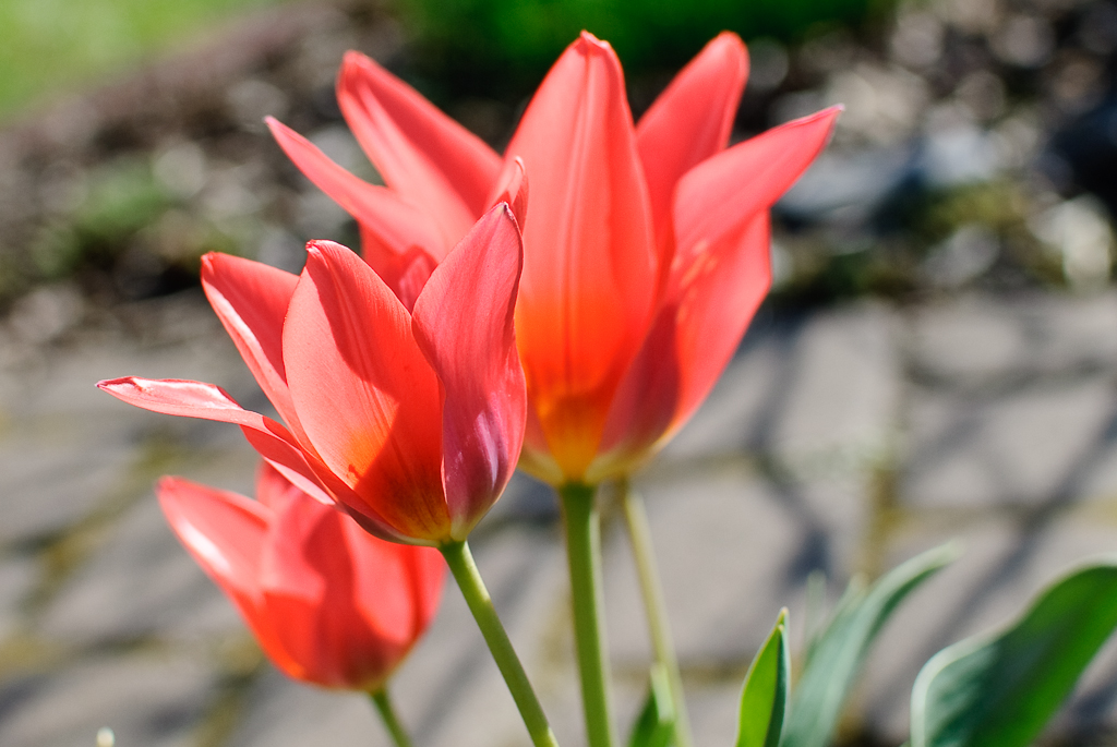 test-apsc-3-22.jpg