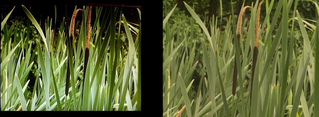 Vergleich HDMI-TIFF-Format-kl.jpg