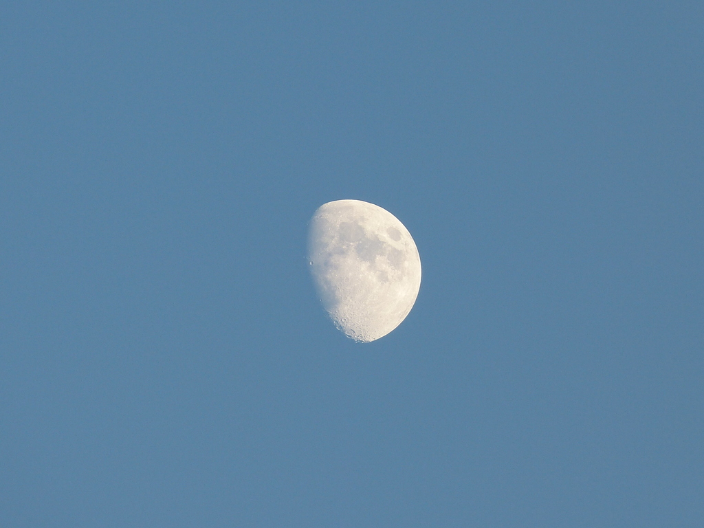 P1000050.JPG
