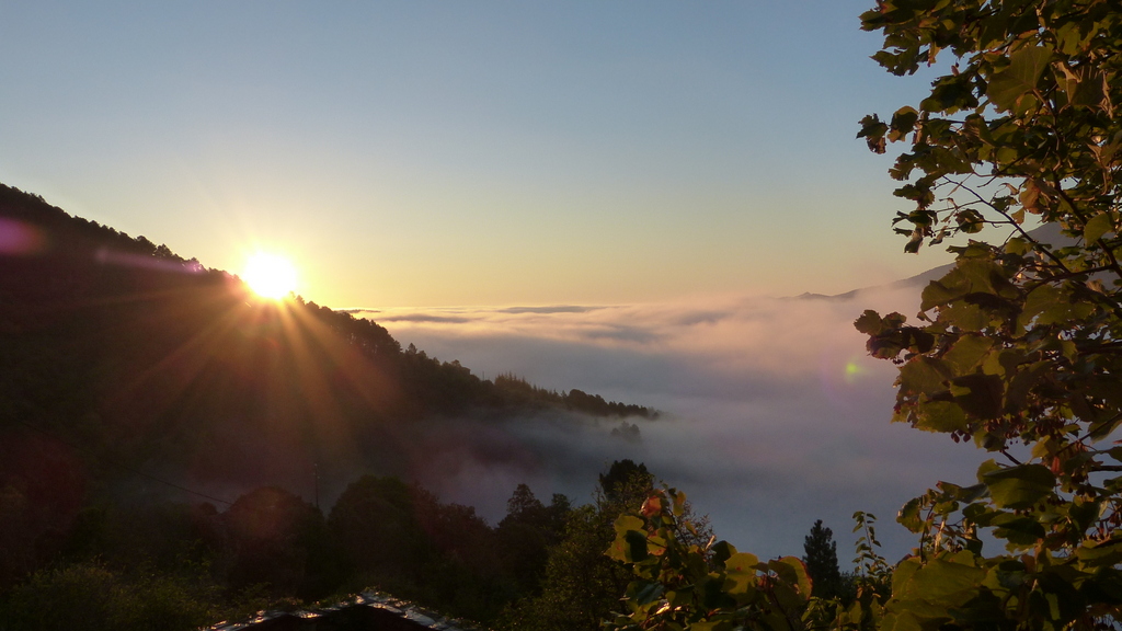 P1000225-001.JPG