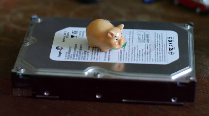 P1050129_cr.jpg