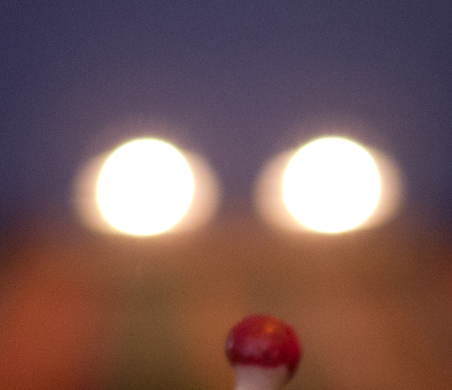 P1090659-2.jpg