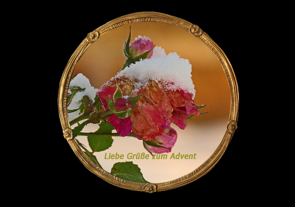 Liebe Grüße zum Advent.jpg