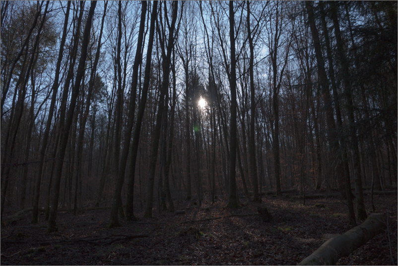 lensflare.jpg