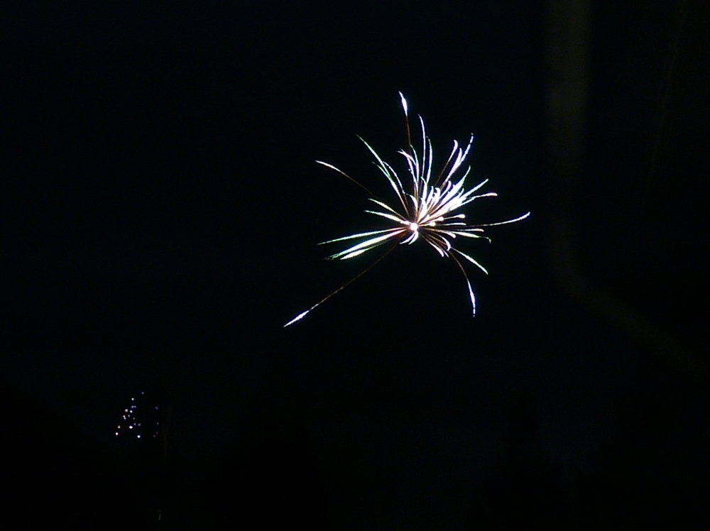P1130575ab-Kopie.JPG