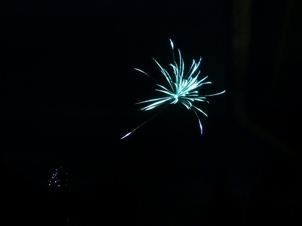 P1130575abc - Kopie.jpg