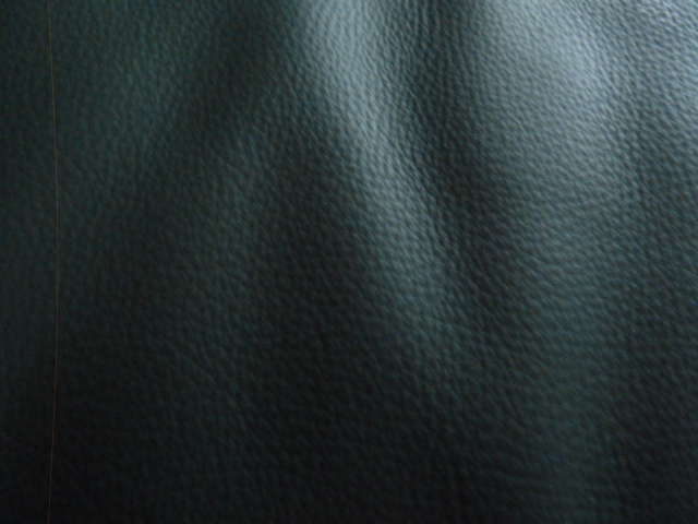 P1020576.JPG