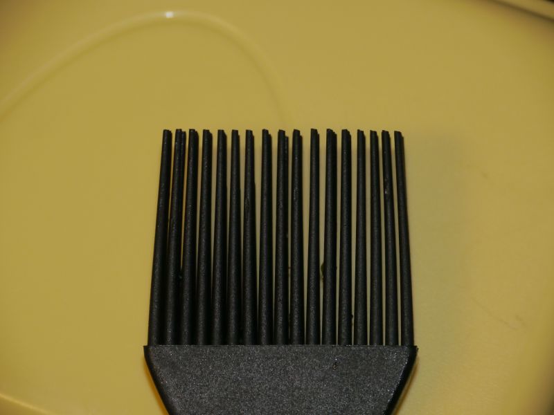P1060041.jpg