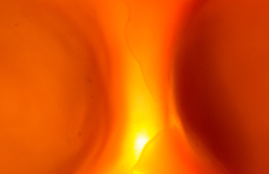 P1020123.jpg