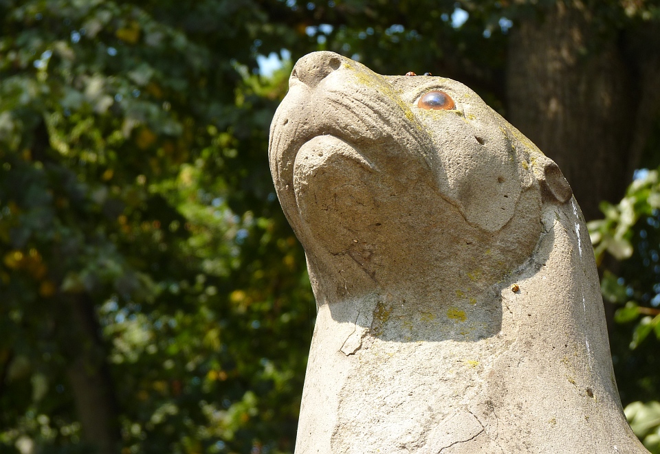 Steinerner Seehund.jpg