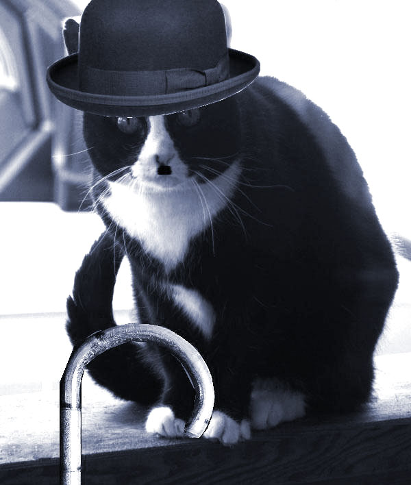 katzecharlie.jpg