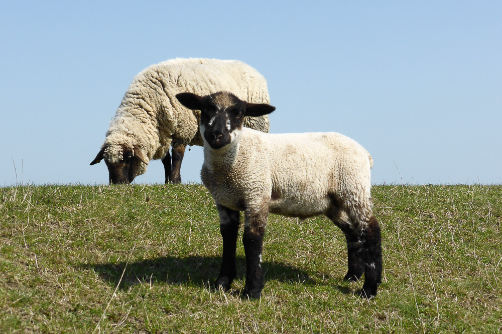 2013-04-22 13-12-32.jpg