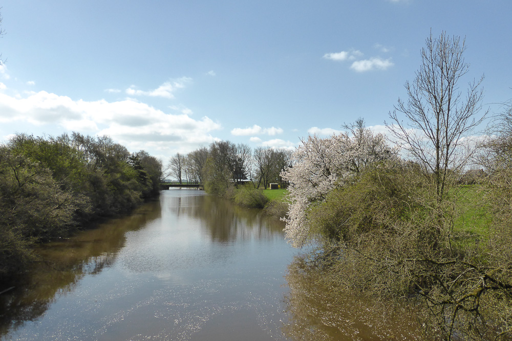 2013-04-28 12-06-09.jpg