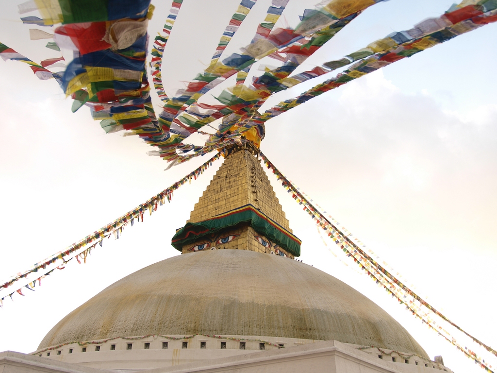 _PA099430.jpg